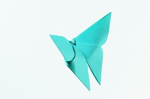 Teal Paper Butterfly Illustration picture